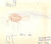 Steven_s-pics-381.jpg