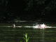 Filename=DSCN8187.JPG
Filesize=2428KiB
Dimensions=3264x2448
Date added=Oct 08, 2008 DSCN8187.JPG