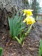 Filename=22908_Bonfire_00021.JPG
Filesize=486KiB
Dimensions=960x1280
Date added=Mar 10, 2008 22908_Bonfire_00021.JPG
