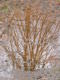 Filename=22908_Bonfire_00022.JPG
Filesize=475KiB
Dimensions=960x1280
Date added=Mar 10, 2008 22908_Bonfire_00022.JPG