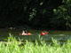 Filename=DSCN8189.JPG
Filesize=2506KiB
Dimensions=3264x2448
Date added=Oct 08, 2008 DSCN8189.JPG