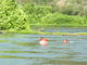 Filename=DSCN8229.JPG
Filesize=2715KiB
Dimensions=3264x2448
Date added=Oct 08, 2008 DSCN8229.JPG
