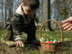 Filename=DSCN6105.JPG
Filesize=689KiB
Dimensions=2048x1536
Date added=May 24, 2008 DSCN6105.JPG