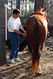 Filename=pr24.jpg
Filesize=426KiB
Dimensions=971x1449
Date added=Aug 29, 2007 pr24.jpg
