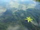 DSCN8236.JPG