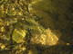 DSCN8250.JPG